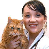 Cynthia Olsen, DVM