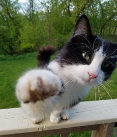 Gimme five!