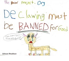 Stop Declawing